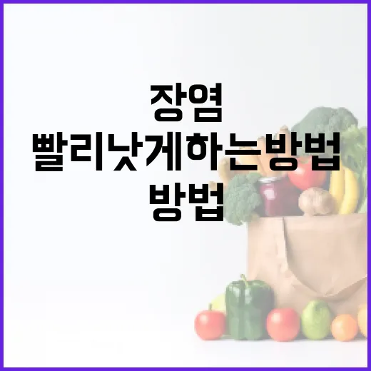 장염을 빨리 낫게 하는 방법: 전문가의 팁 - 요약