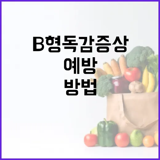 B형 독감 증상을 알아보고 예방하는 방법 - 요약