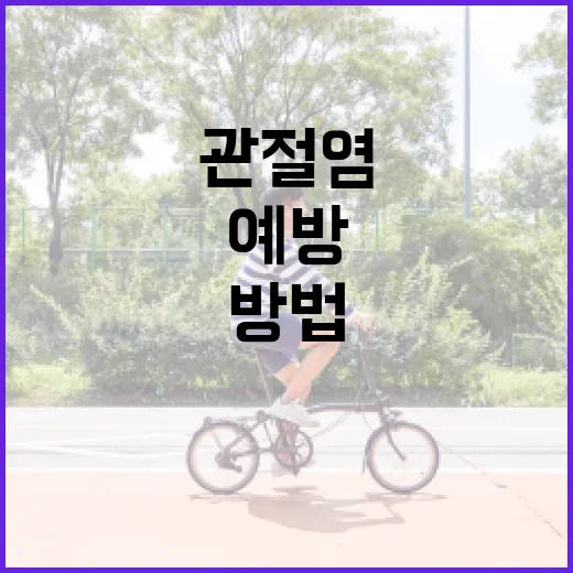 관절염을 예방하는 방법: 건강한 관절을 위한 필수 가이드 - 요약