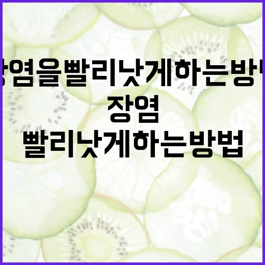 장염을 빨리 낫게 하는 방법 - 요약