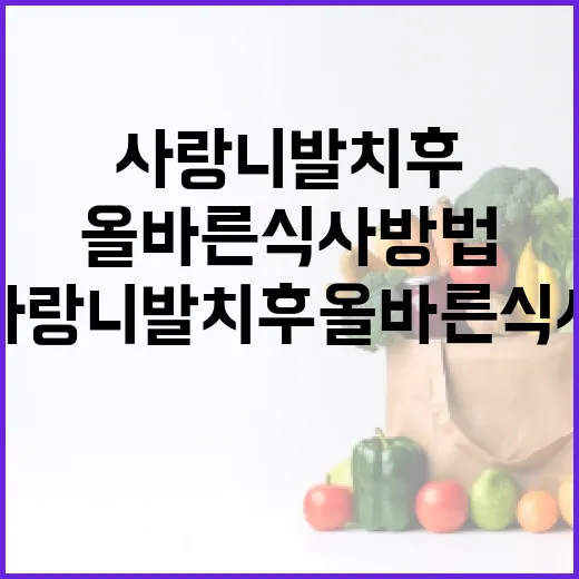 사랑니 발치 후 올바른 식사 방법 - 요약