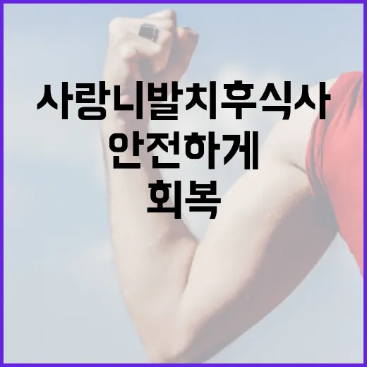 사랑니 발치 후 식사 가이드: 안전하게 회복하는 방법 - 요약