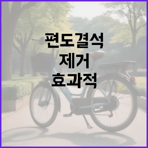 편도결석을 효과적으로 제거하는 방법 - 요약