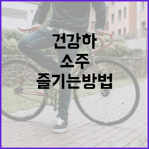 소주 도수를 이해하고 건강하게 즐기는 방법 - 요약