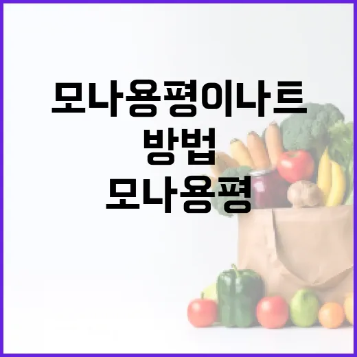 모나용평 이나트를 활용하여 건강을 강화하는 방법 - 요약