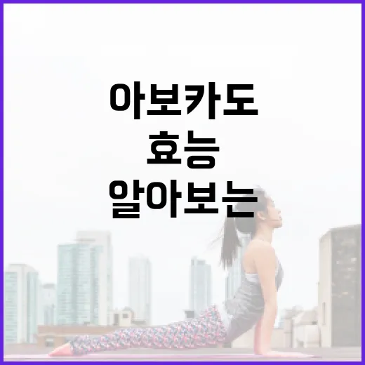 아보카도의 다양한 효능을 알아보는 방법 - 요약