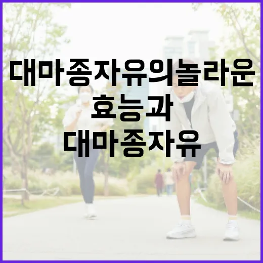 대마종자유의 놀라운 효능과 활용법 알아보기 - 요약
