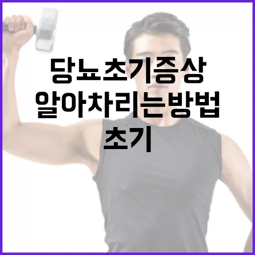 당뇨 초기증상을 알아차리는 방법 - 요약