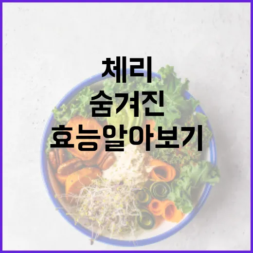 체리의 숨겨진 효능 알아보기 - 요약