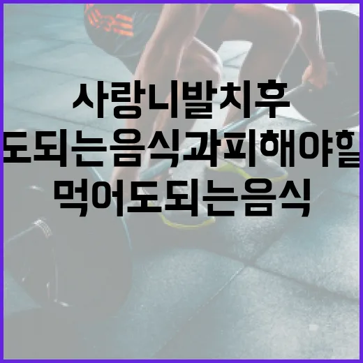 사랑니 발치 후, 먹어도 되는 음식과 피해야 할 음식 - 요약