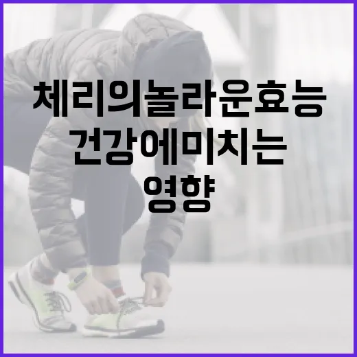 체리의 놀라운 효능과 건강에 미치는 영향 - 요약