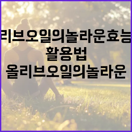 올리브오일의 놀라운 효능과 활용법 - 요약