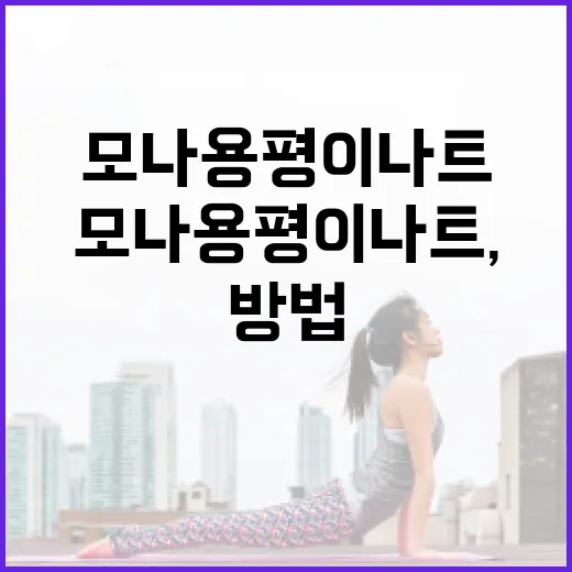 모나용평 이나트, 자연 속에서 힐링하는 방법 - 요약