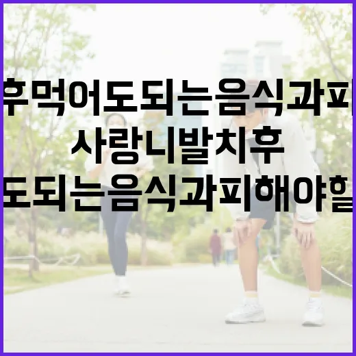 사랑니 발치 후 먹어도 되는 음식과 피해야 할 음식들 - 요약