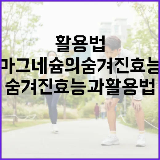 마그네슘의 숨겨진 효능과 활용법 - 요약