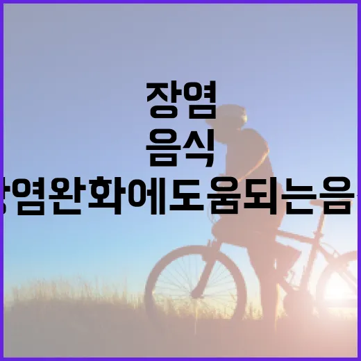 장염 완화에 도움 되는 음식들: 건강한 선택 - 요약