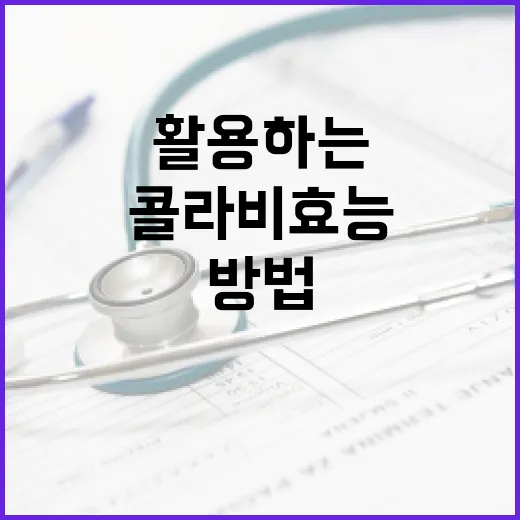 콜라비 효능을 최대한 활용하는 방법 - 요약