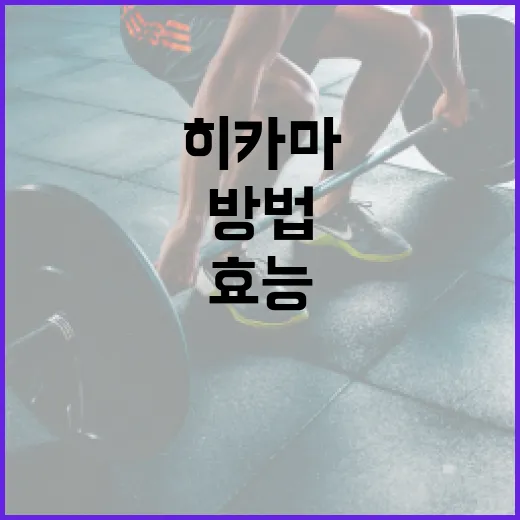 히카마의 건강 효능을 극대화하는 방법 - 요약