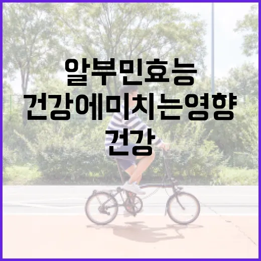 알부민 효능 이해하기: 건강에 미치는 영향과 활용법 - 요약