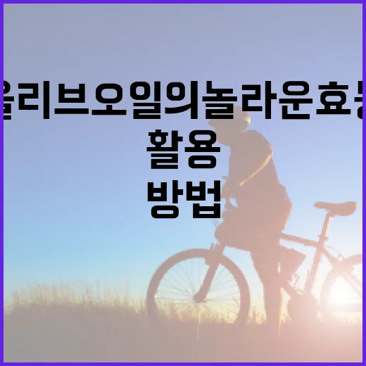 올리브오일의 놀라운 효능을 최대한 활용하는 방법 - 요약