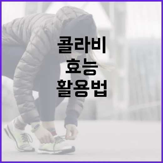 콜라비의 놀라운 효능과 활용법 - 요약