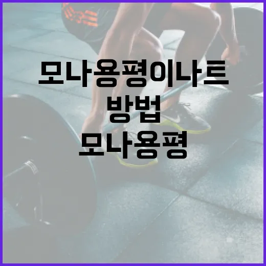 모나용평 이나트를 활용하여 건강을 지키는 방법 - 요약