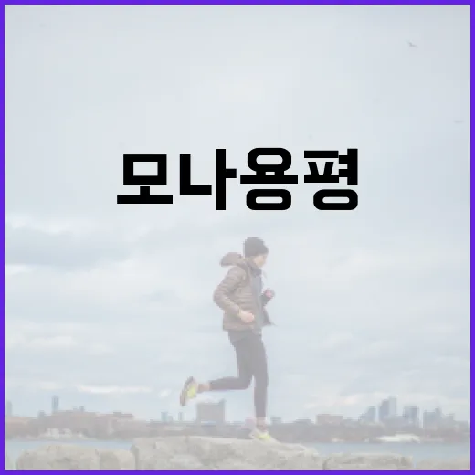 모나용평 이나트로 건강한 삶을 유지하는 방법 - 요약