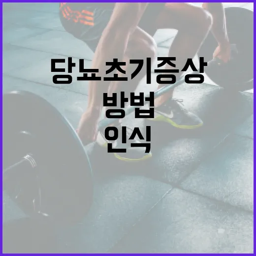 당뇨 초기증상을 인식하는 방법 - 요약