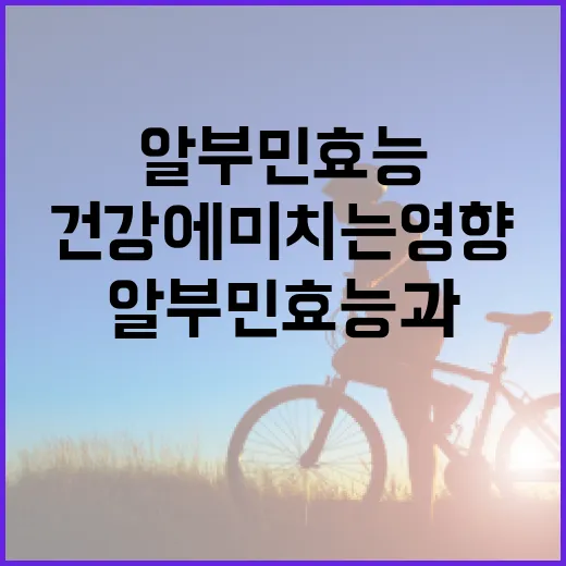 알부민 효능과 건강에 미치는 영향 알아보기 - 요약