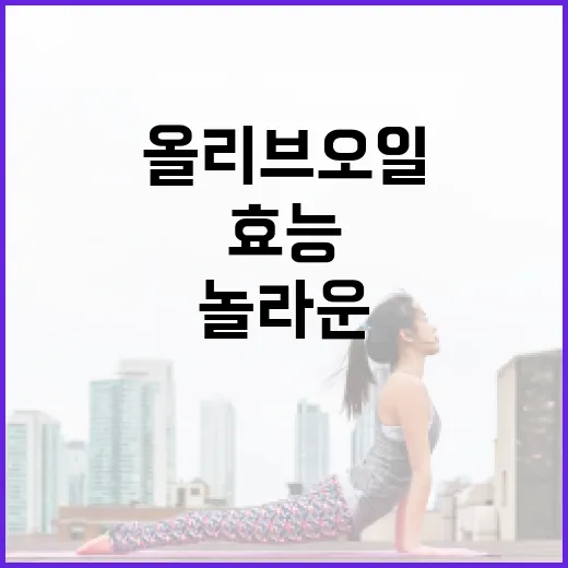 올리브오일의 놀라운 효능을 알아보는 방법 - 요약