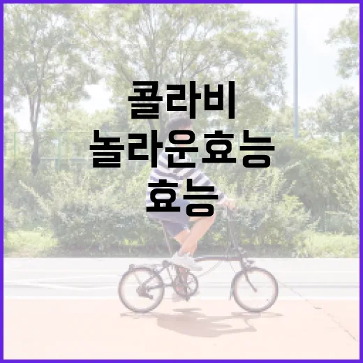 콜라비의 놀라운 효능과 활용 방법 - 요약