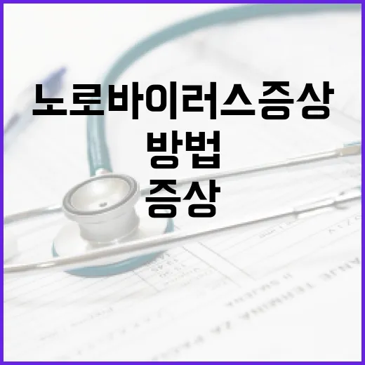 노로바이러스 증상을 관리하는 방법 - 요약