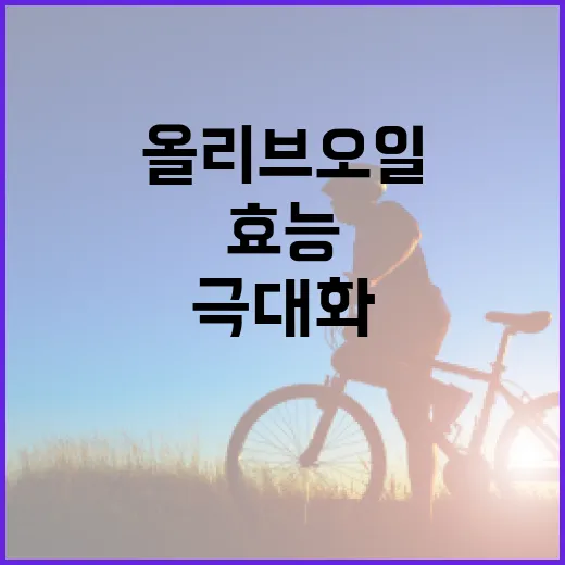 올리브오일의 효능을 극대화하는 방법 - 요약