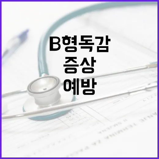 B형 독감 증상을 이해하고 예방하려면 이렇게 하세요 - 요약