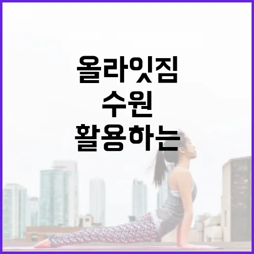 올라잇짐 수원을 최대한 활용하는 방법 - 요약