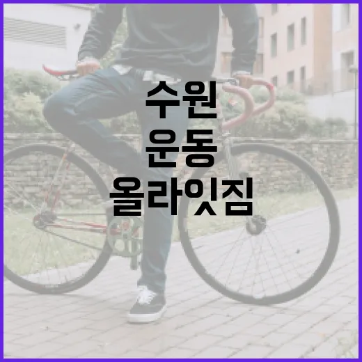 올라잇짐 수원에서 건강하게 운동하는 방법 - 요약