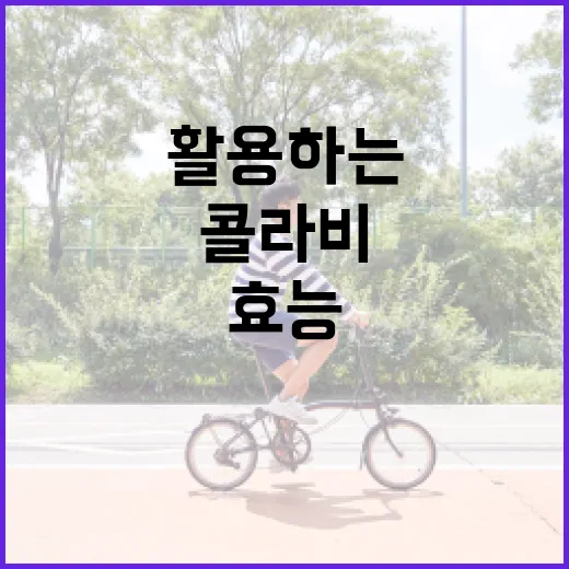 콜라비의 효능을 최대한 활용하는 방법 - 요약