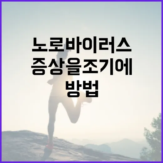 노로바이러스 증상을 조기에 식별하는 방법 - 요약