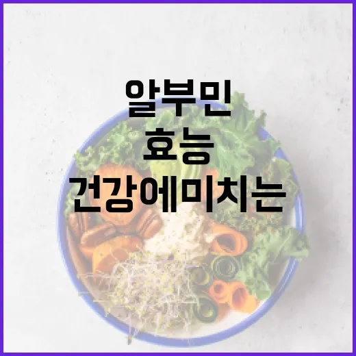 알부민의 효능과 건강에 미치는 긍정적 영향 - 요약