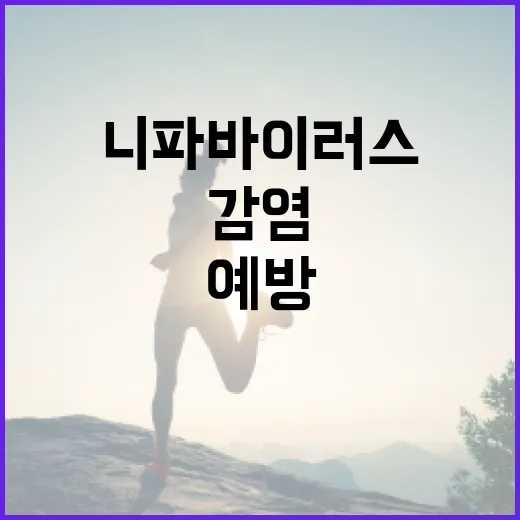 니파바이러스 감염을 예방하는 방법 - 요약