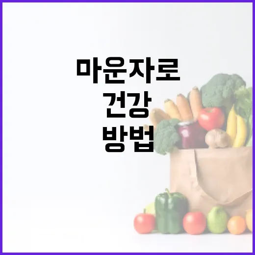 마운자로 활용하여 건강하게 생활하는 방법 - 요약