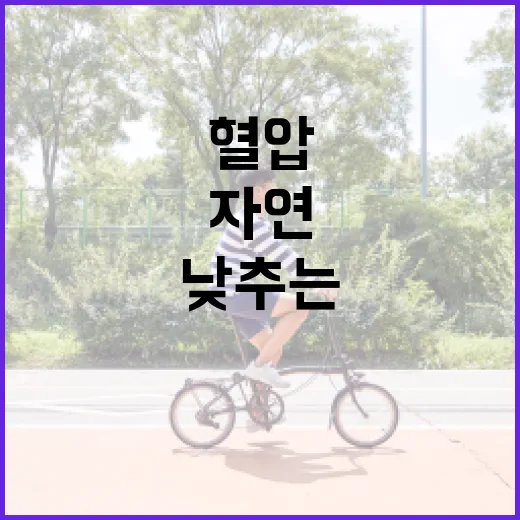 혈압을 낮추는 방법: 자연스럽고 효과적인 전략 - 요약