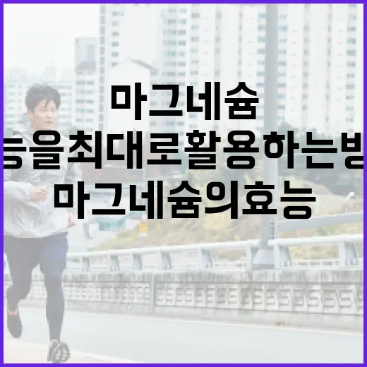 마그네슘의 효능을 최대로 활용하는 방법 - 요약