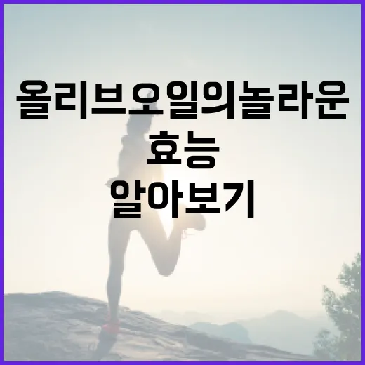 올리브 오일의 놀라운 건강 효능 알아보기 - 요약