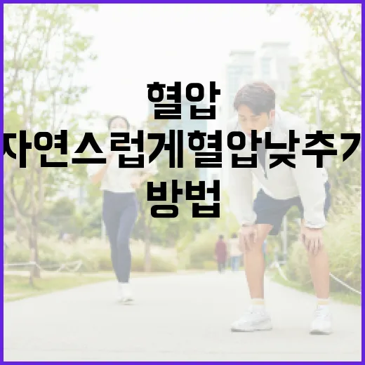 건강한 혈압을 유지하는 방법: 자연스럽게 혈압 낮추기 - 요약