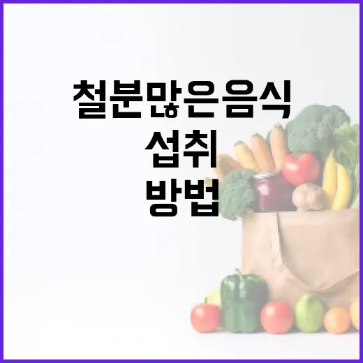 철분 많은 음식을 섭취하는 방법 - 요약