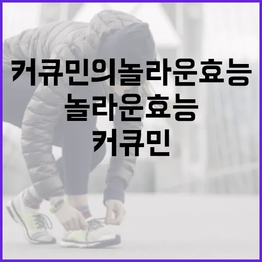 커큐민의 놀라운 효능을 극대화하는 방법 - 요약