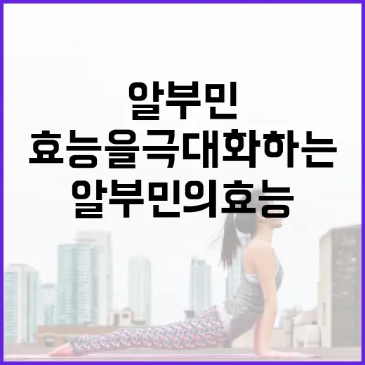 알부민의 효능을 극대화하는 방법 - 요약