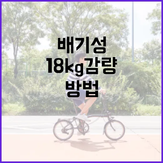 배기성처럼 18kg 감량하는 방법 - 요약