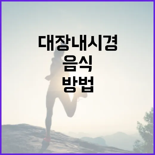 대장내시경 전 음식 준비하는 방법 - 요약